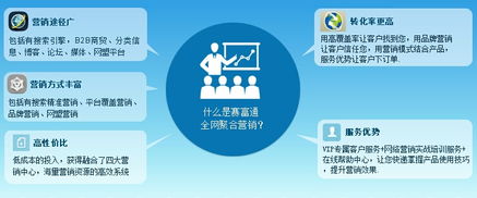 文山三七廠家 借力互聯(lián)網(wǎng)銷售，提升品牌影響力與銷量的多維策略